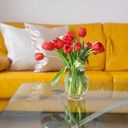 Apartament Avis Bydgoska